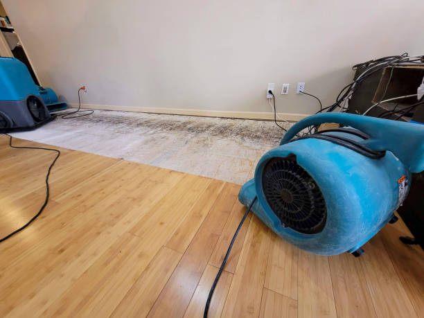 Professional Water Damage Repair technician working in Clare, IL